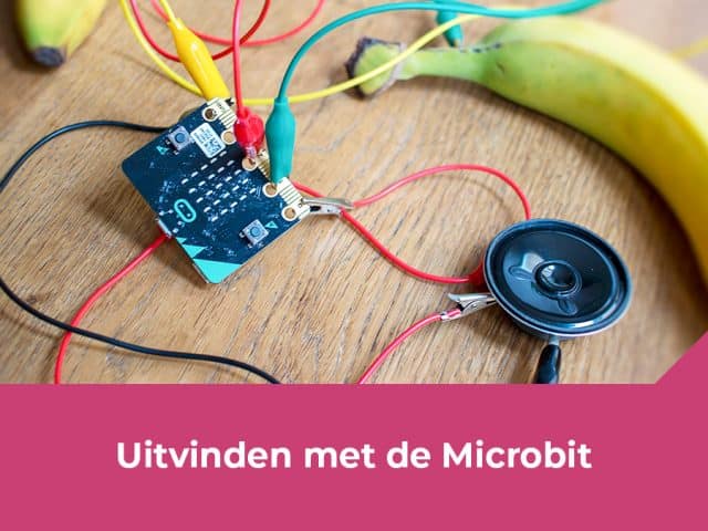 Uitvinden met de Microbit